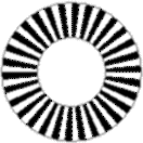 SPIN.GIF