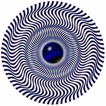 SPIN2.JPG