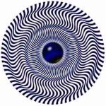SPIN2.JPG