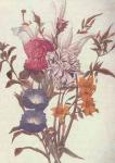 flowers 5 ___.jpg