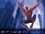 SPIDER MAN 5.jpg