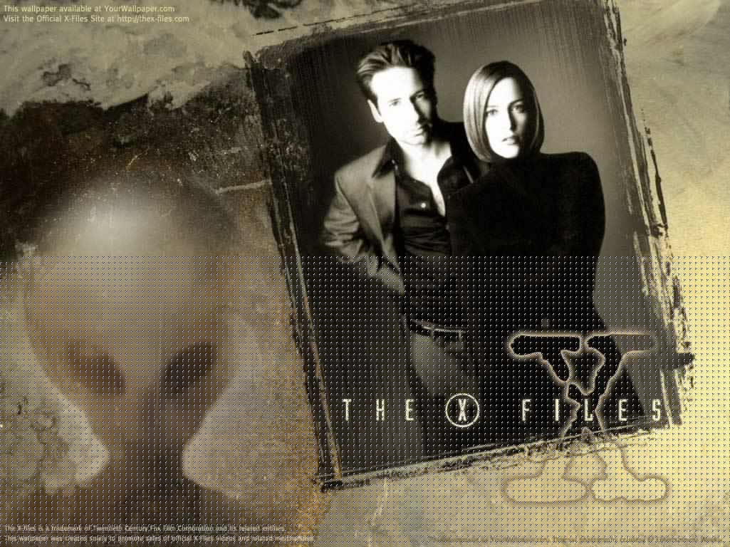 Movie_174_movies_094.jpg