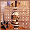 Picture with laughing zebra from Madagascar cartoon