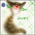 Cat with blue flower in the mouth