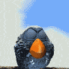 3_1701.gif