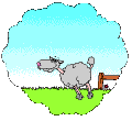 3_1730.gif