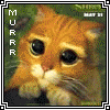 3_1805.gif