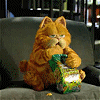 6723.gif