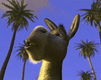 7300129109.gif