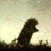 888.gif