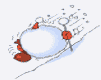 20070902_004.gif
