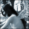 3_1164.gif