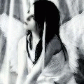 3_1316.gif