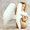 3_1317.gif