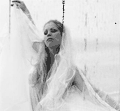 3_1518.gif