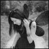 3_1612.gif