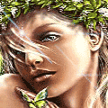 3_1662.gif