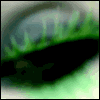 3_1685.gif