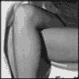 3_655.gif