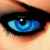 t_eye27.jpg