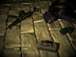 Counter  -  Strike _83_.JPG
