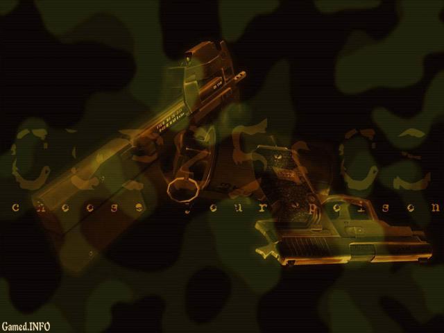 CounterStrike copy.jpg