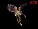 harpy_hag.jpg