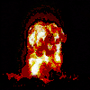 1147507384-2371.gif