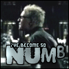 3_1074.gif