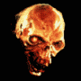 3_1091.gif