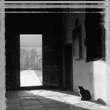 3_1130.gif