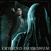 3_1206.gif