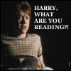 3_1242.gif