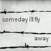 3_1281.gif