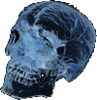 3_1298.gif