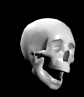 3_1358.gif