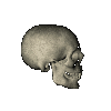 3_1369.gif