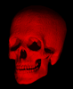 3_1382.gif