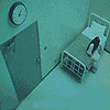 3_1431.gif