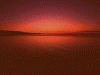 3_1454.gif