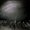 3_1508.gif