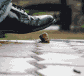 3_1649.gif