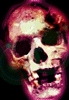 3_1722.gif