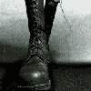 3_1733.gif