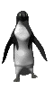 3_211.gif