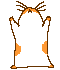 3_295.gif