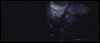 3_336.gif
