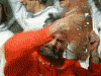 3_436.gif