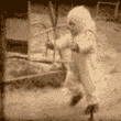 3_48.gif