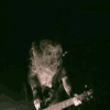 3_539.gif